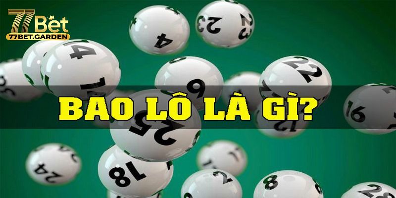 bao lô là gì