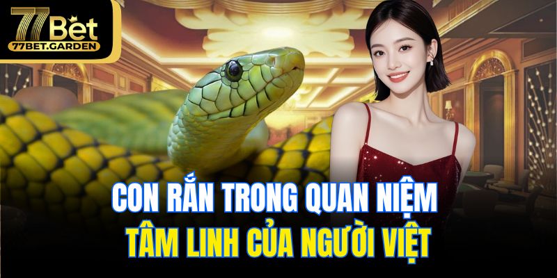 Con rắn trong quan niệm tâm linh của người việt