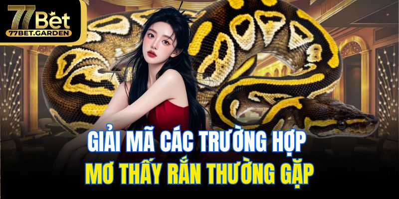 Giải mã các trường hợp mơ thấy rắn thường gặp