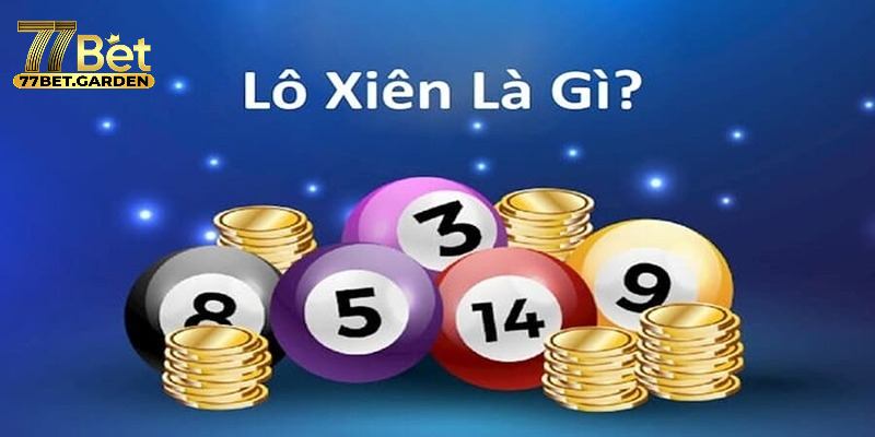 Giải thích rõ về lô xiên cho người mới bắt đầu