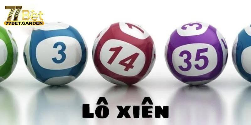 Vì sao 77bet được dân cược chuyên nghiệp lựa chọn để đánh lô xiên?