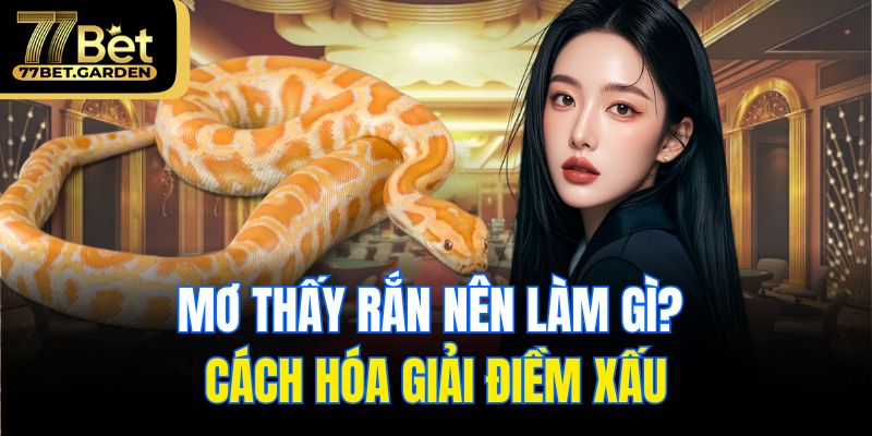 Mơ thấy rắn