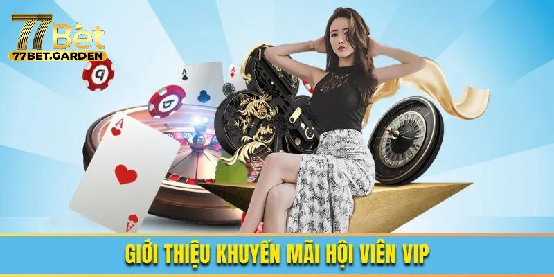 Chương trình Vip 77bet là gì? Vì sao nhiều người lại quan tâm đến nó?